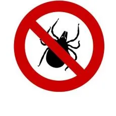 Antiparazitare pentru c&acirc;ini