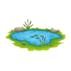 Iazuri - Black Friday