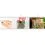 Dennerle Shrimp King - Yummy Gum 50g