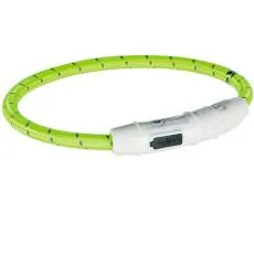  Zgardă cu lumini, zgărzi intermitente