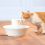 Fântână Drinkwell Avalon pentru câini şi pisici - ceramică, 2L