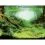 Fundal decor de acvariu  PLANTS/OCEANS S - 60 x 30cm