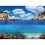 Fundal decor de acvariu  PLANTS/OCEANS S - 60 x 30cm