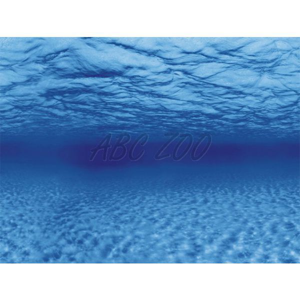 Fundal decor de acvariu  ROOTS/WATERS XL - 150 x 60cm