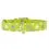 Zgardă din piele cu steluțe luminoase, verde 30 - 39cm, 20mm