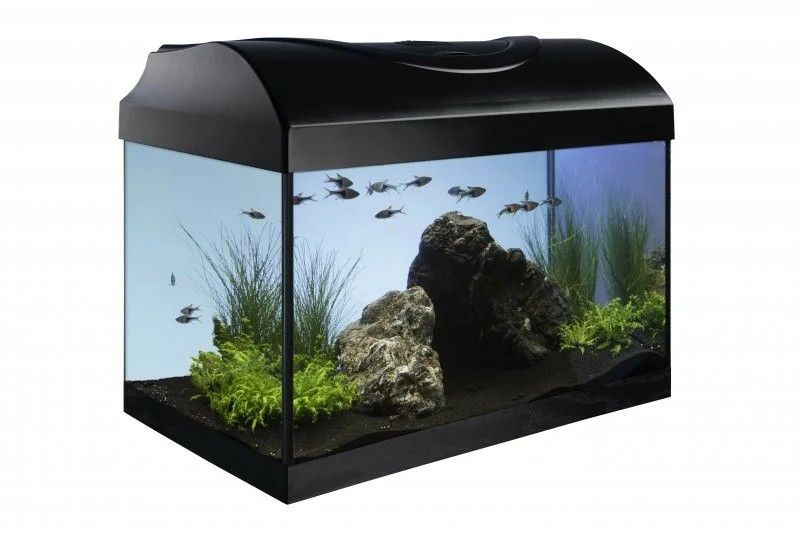 Acvariu 25l+echipament – Diversa STARTUP 40 LED Expert, cu geam frontal drept, negru, capac, iluminare, filtru, încălzitor