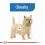 ROYAL CANIN MINI Light Weight Care 8kg