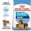 ROYAL CANIN MAXI STARTER MOTHER AND BABY DOG 4 kg