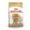 ROYAL CANIN ADULT POODLE 1,5 kg