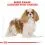 ROYAL CANIN CAVALIER KING CHARLES ADULT 1,5 kg