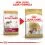 ROYAL CANIN CAVALIER KING CHARLES ADULT 1,5 kg