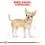 ROYAL CANIN ADULT CHIHUAHUA 0,5 kg