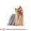 ROYAL CANIN ADULT YORKSHIRE 0,5 kg