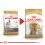 ROYAL CANIN ADULT YORKSHIRE 0,5 kg