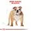 ROYAL CANIN ENGLISH BULLDOG 3 kg