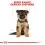 ROYAL CANIN GERMAN SHEPHERD JUNIOR 12 kg