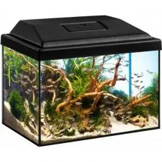 Acvariu DIVERSA STARTUP SPLASH 12L + 3W LED