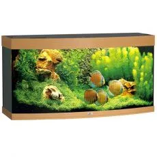 Acuarii și seturi de acvarii - Reduceri