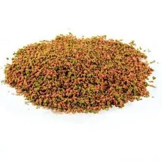 Hrană pentru pești de acvariu - Reduceri