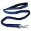 Lesă Bungee negru - albastru, L