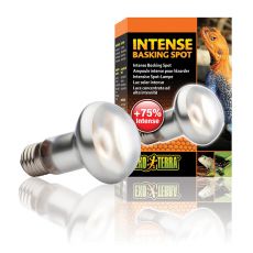 Lampă calorică EXOTERRA INTENSE BASKING SPOT 50W