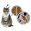 BEAPHAR IMMO SHIELD Line-on CAT 3 x 1 ml