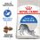 Royal Canin INDOOR 27 - hrană pentru pisicii care trăiesc în casă 400 g