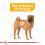 ROYAL CANIN MIEDIUM DERMACOMFORT 3 kg
