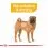 ROYAL CANIN MIEDIUM DERMACOMFORT 3 kg