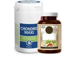 Vitamine pentru c&acirc;ini