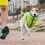 Vestă AiryVest Colar albastru - verde, M 45