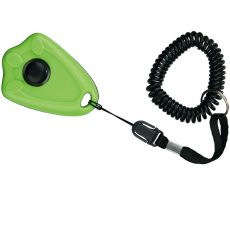 Dresajul c&acirc;inelui, activităţi sportive