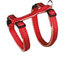 Zgardă, lesă şi ham pentru pisici