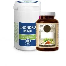 Vitamine şi medicamente pentru c&acirc;ini