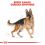 ROYAL CANIN GERMAN SHEPHERD 11 kg