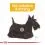 ROYAL CANIN Mini Dermacomfort 8 kg