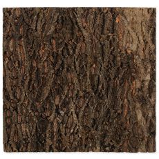 Fundal pentru terariu - scoarță 58,5 x 56 cm
