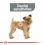 ROYAL CANIN Mini Dental Care granule pentru câini reducând formarea tartrului de 1 kg
