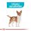 Royal Canin Mini Urinary Care câini predispuși sensibilitate tract urinar 1 kg