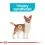 Royal Canin Mini Urinary Care c&acirc;ini predispuși sensibilitate tract urinar 3 kg