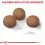 Royal Canin Maxi Digestive Care granules c&acirc;ini de talie mare cu tract digestiv sensibil 12 kg