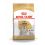 ROYAL CANIN Maltese Adult hrană pentru câini adulţi rasă malteză 1,5 kg
