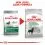ROYAL CANIN Mini Digestive Care 1 kg