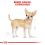 ROYAL CANIN Chihuahua Loaf plic cu pate pentru Chihuahua 12 x 85 g