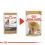 ROYAL CANIN ADULT YORKSHIRE 12 x 85 g