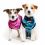 Îmbrăcăminte post-operatorie pentru câini XS camuflaj roz