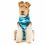 Îmbrăcăminte postoperatorie pentru câini M+ camuflaj albastru