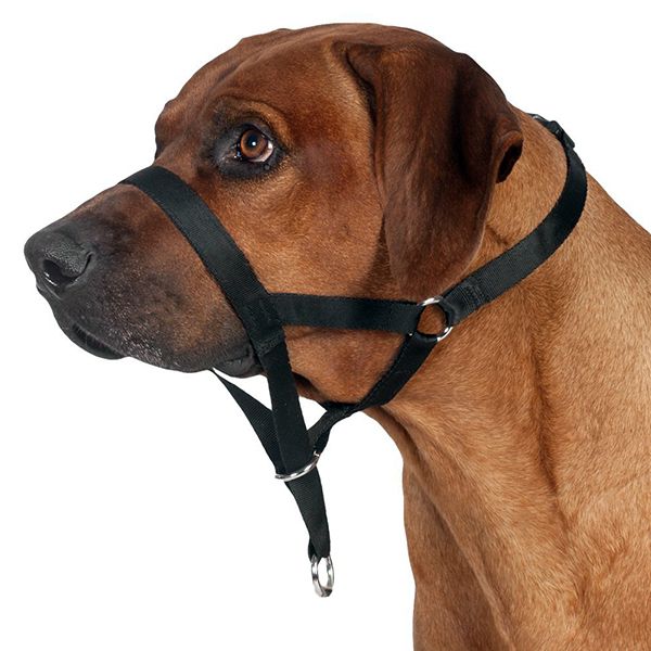Ham pentru dresajul câinilor - L-XL, 37 cm