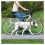 Lesă câini pentru jogging sau plimbări cu bicicleta