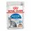 Royal Canin Indoor Sterilised In Gravy Pliculeț 24 x 85 g